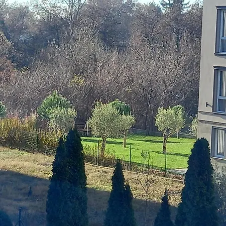 Малкият Париж Apartment Chissarja
